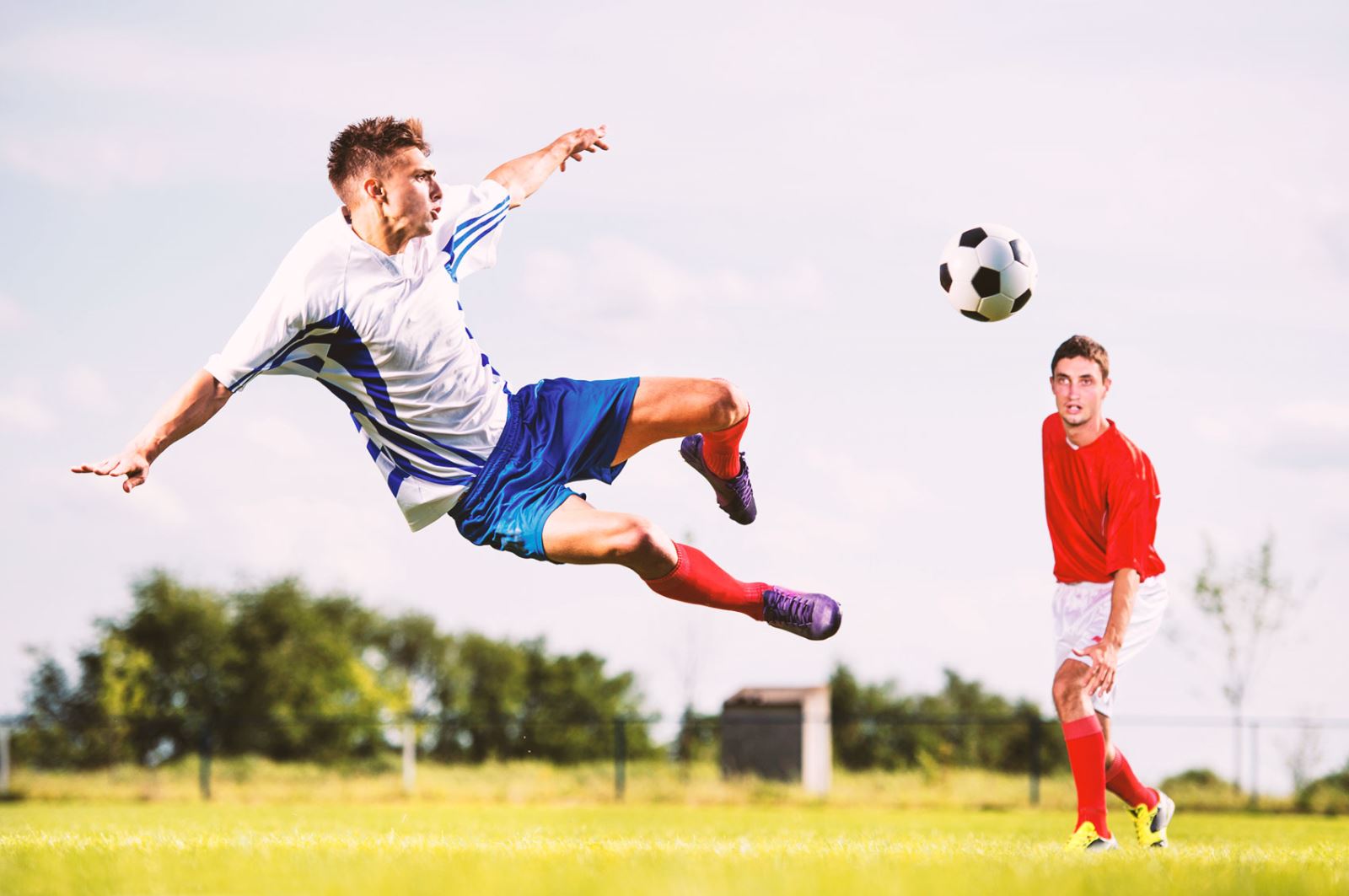 如何利用新 如何利用新