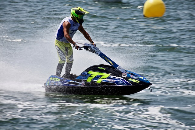 观赏价值 观赏价值