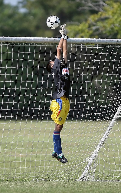 的夺冠概率 的夺冠概率