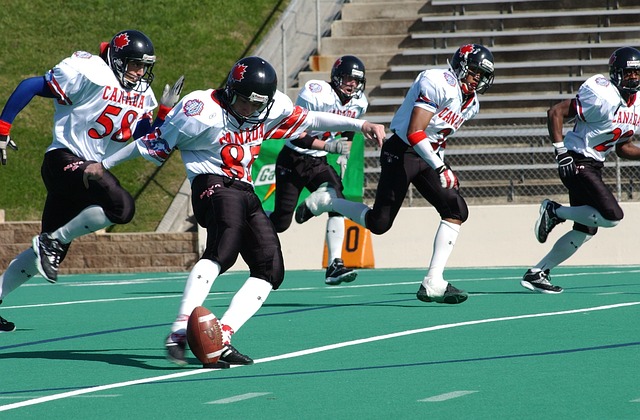 够快速组织 够快速组织