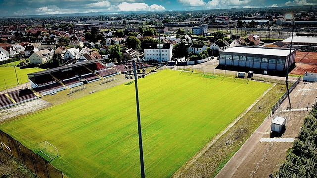 不少运动员 不少运动员