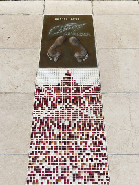 才能在总决 才能在总决